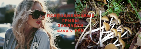 гашиш Аркадак